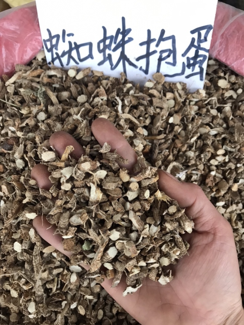 入地蜈蚣，蜘蛛抱蛋水洗切断