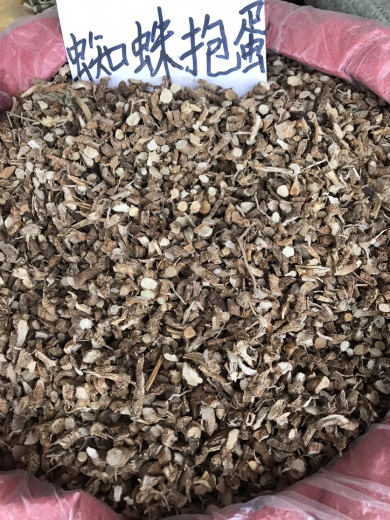 入地蜈蚣，蜘蛛抱蛋水洗切断
