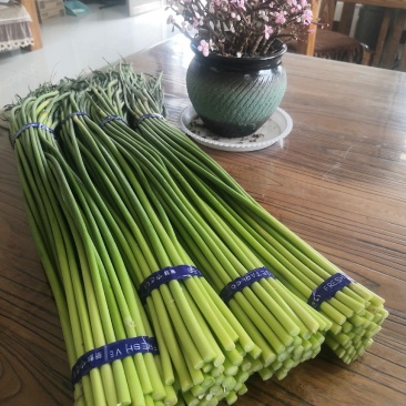 优质精品红帽蒜苔白帽蒜苔