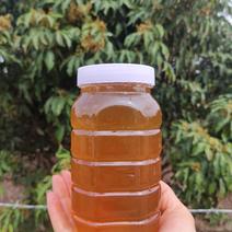 蜂蜜荔枝蜜自产自销优质蜂蜜