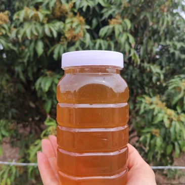 蜂蜜荔枝蜜自产自销优质蜂蜜