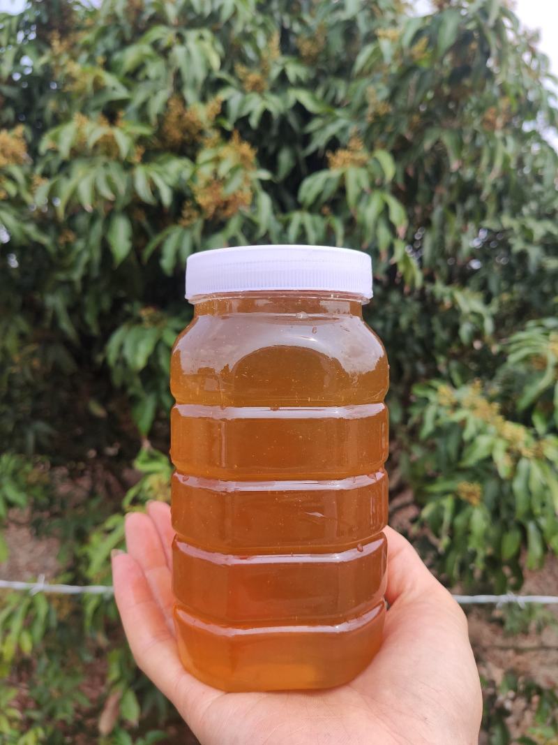 蜂蜜荔枝蜜自产自销优质蜂蜜