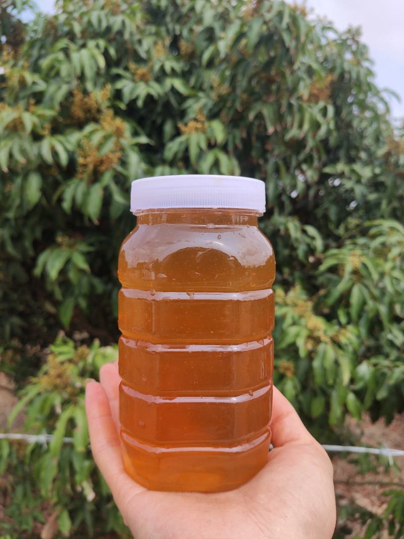 蜂蜜荔枝蜜自产自销优质蜂蜜