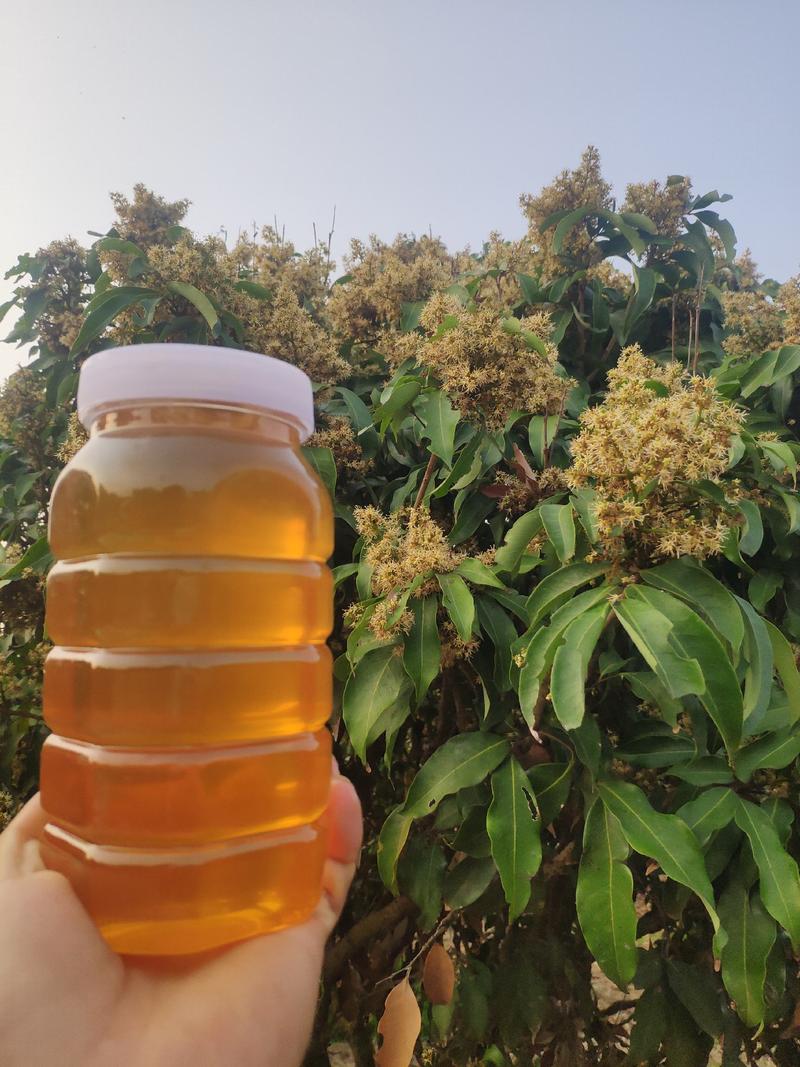 蜂蜜荔枝蜜自产自销优质蜂蜜