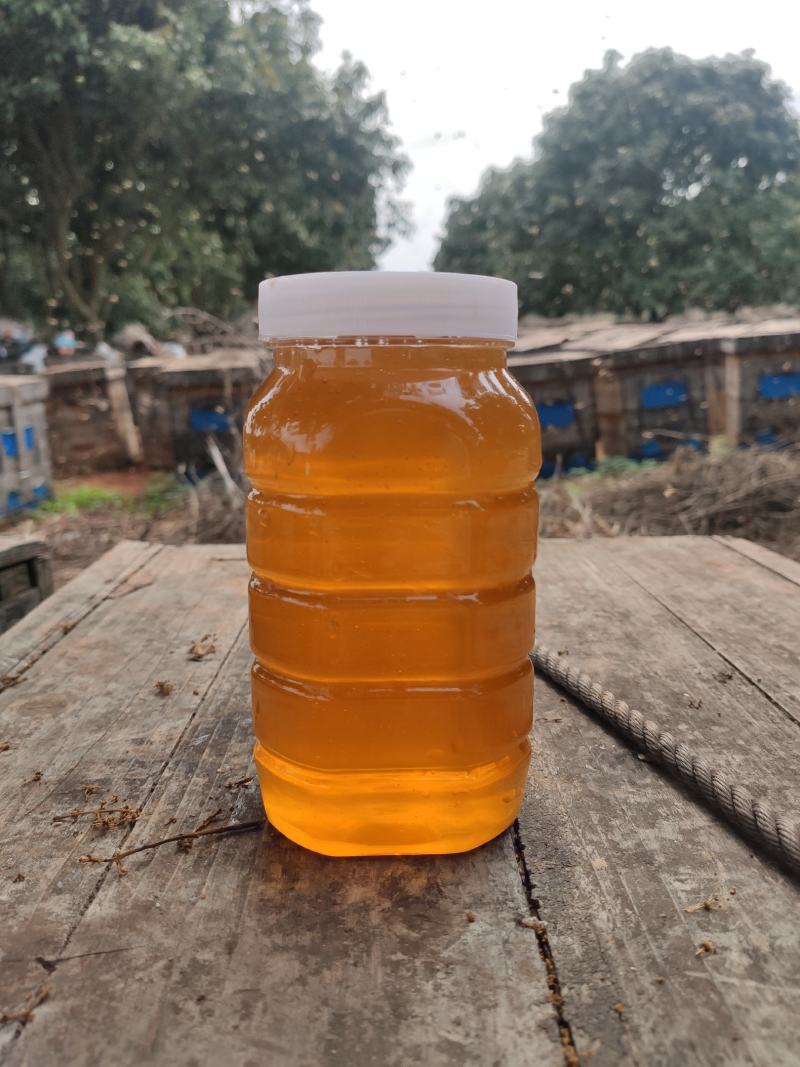 蜂蜜荔枝蜜自产自销优质蜂蜜