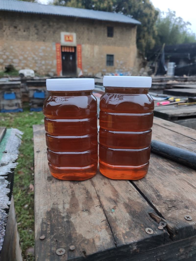 蜂蜜荔枝蜜自产自销优质蜂蜜