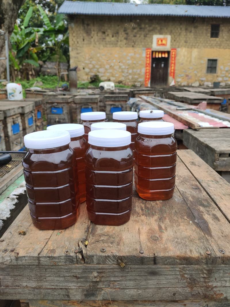 蜂蜜荔枝蜜自产自销优质蜂蜜