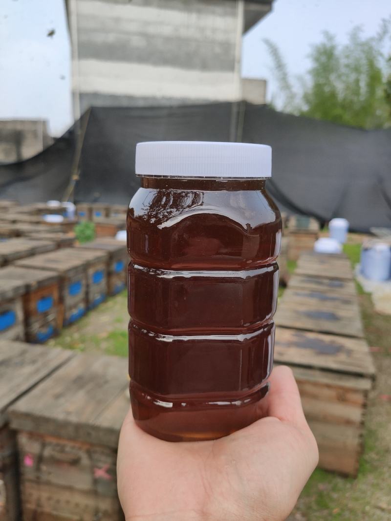广西平南石硖龙眼蜜高浓度带有龙眼花香味