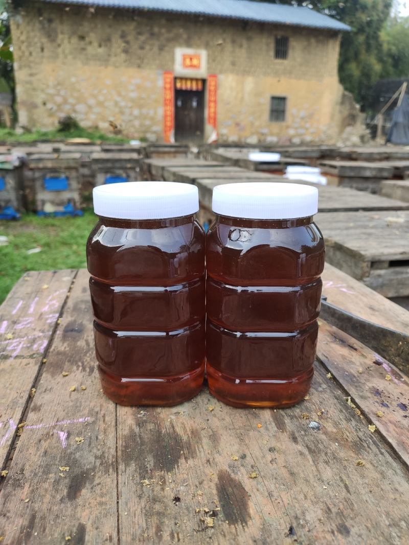 广西平南石硖龙眼蜜高浓度带有龙眼花香味