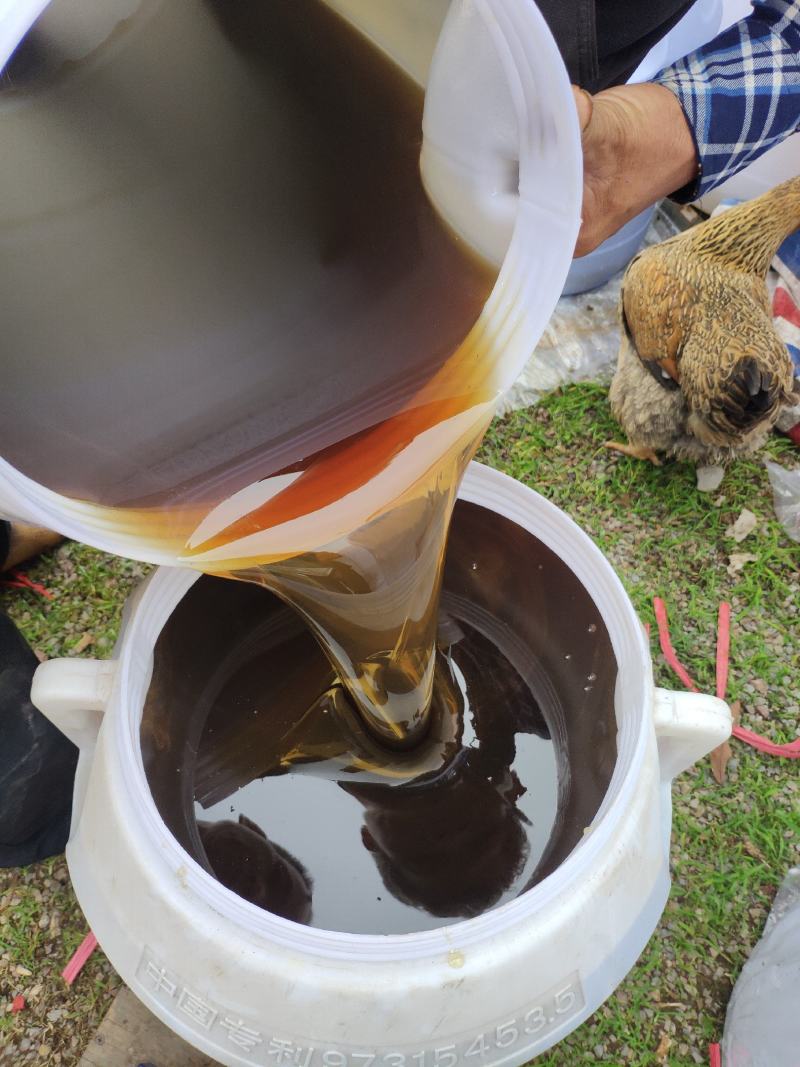 广西平南石硖龙眼蜜高浓度带有龙眼花香味