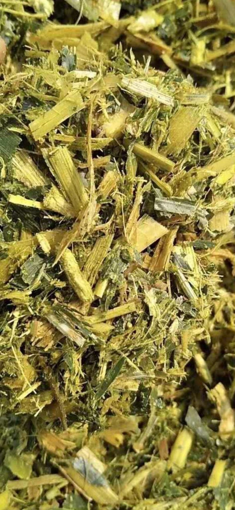 玉米秸秆青储饲料