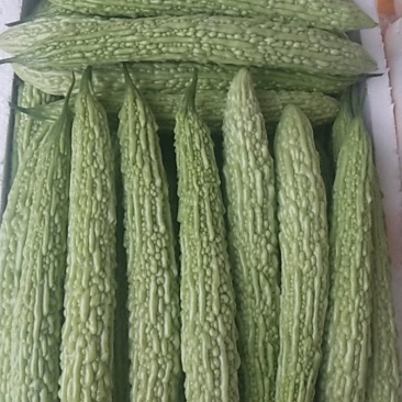 青，白苦瓜