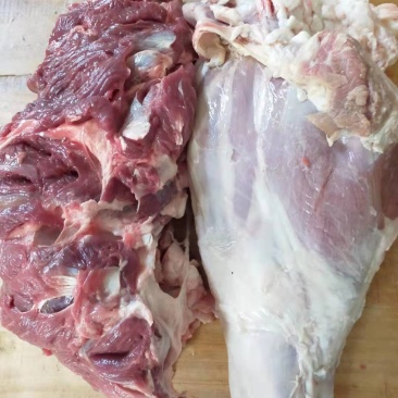 羊肉，羊后腿肉，羔羊腿肉感兴趣的朋友欢迎光临！