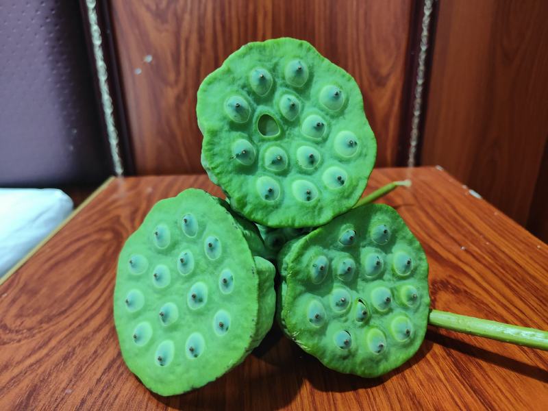 【现货供应】太空莲蓬新鲜莲蓬莲子湖南湘莲应季水果嫩莲米