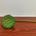 【现货供应】太空莲蓬新鲜莲蓬莲子湖南湘莲应季水果嫩莲米