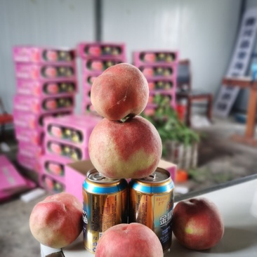 突围桃大优惠