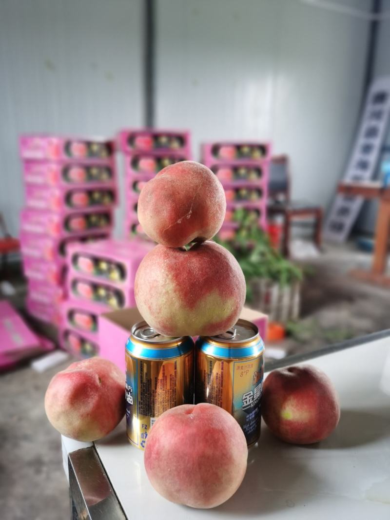 突围桃大优惠