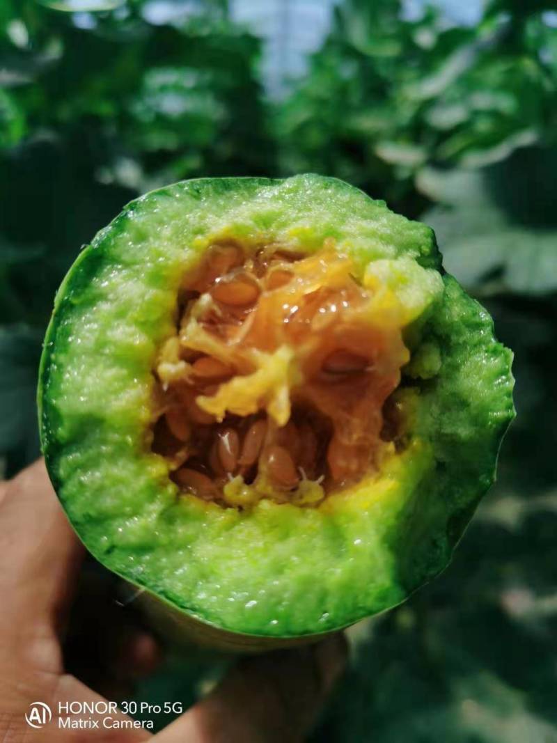 头茬羊角蜜