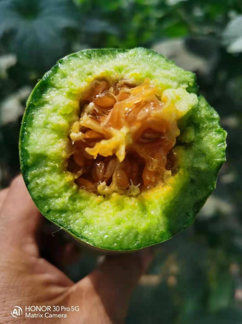 头茬羊角蜜