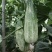 头茬羊角蜜