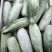 头茬羊角蜜