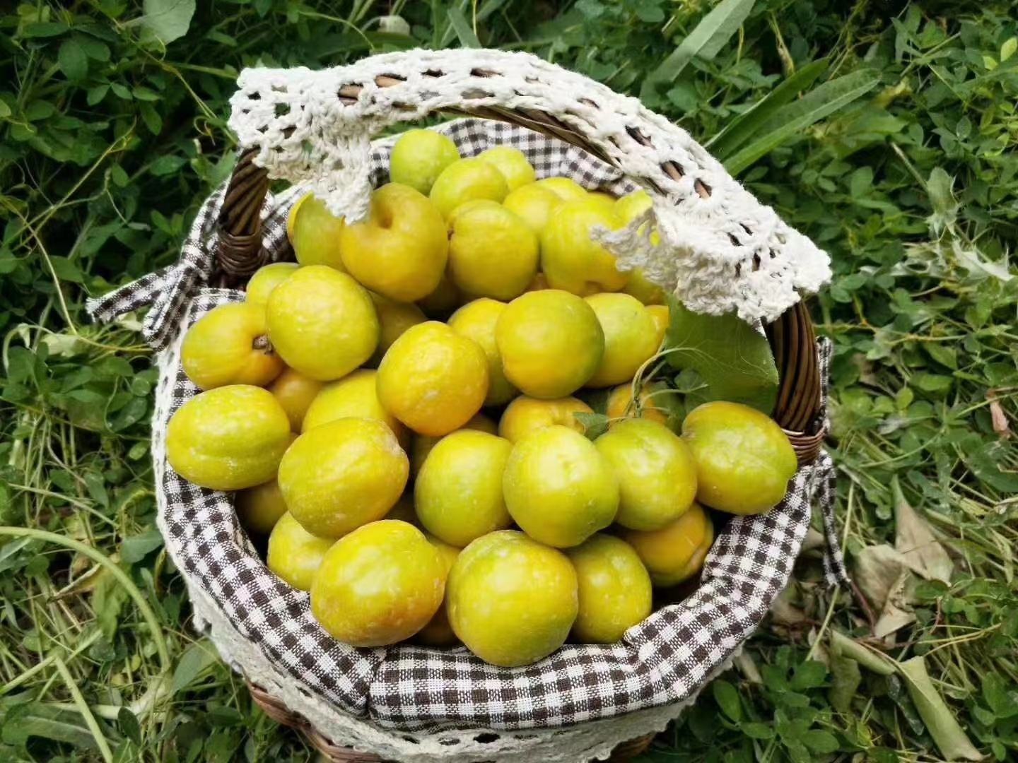 一篮新鲜的小台芒摆放在木质桌子上,周围有绿叶点缀,呈现出自然清新的画面 小台芒果篮