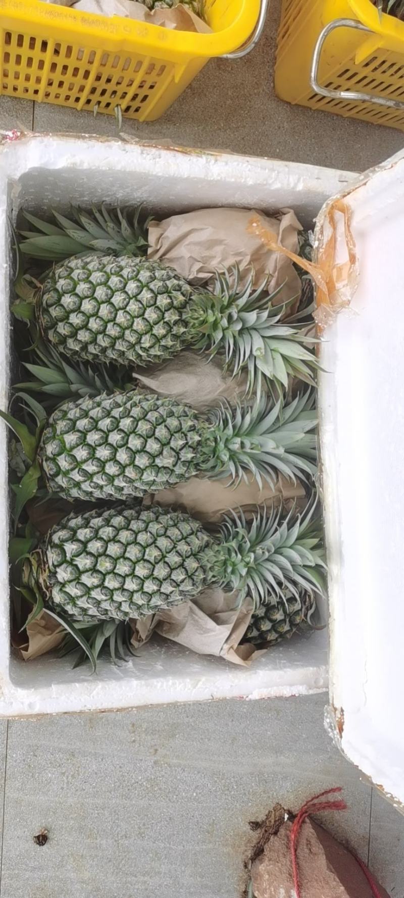 凤梨