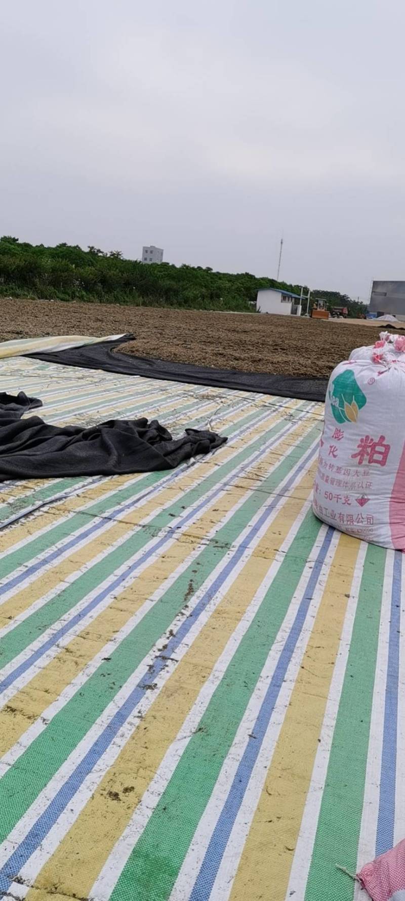 精品梅干菜