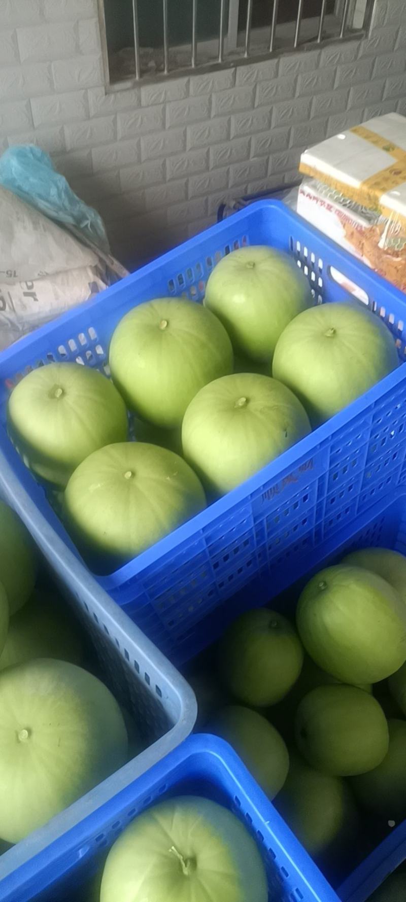 广东香芋冬瓜台湾引进对接商超连锁酒店电商社区团购