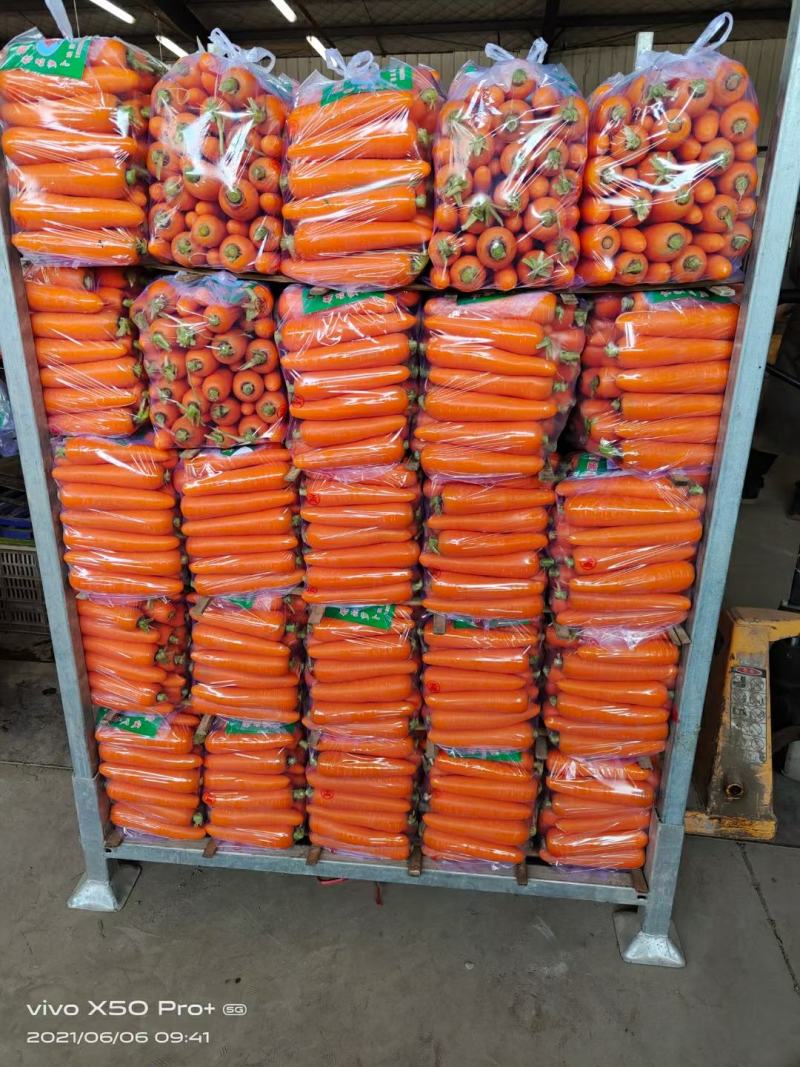 胡萝卜北京包大量供应欢迎光临