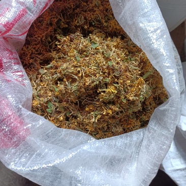 （热销）贵州金银花