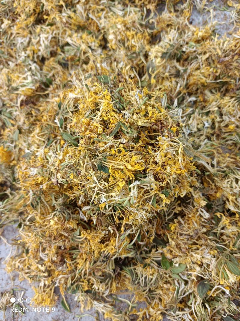 （热销）贵州金银花
