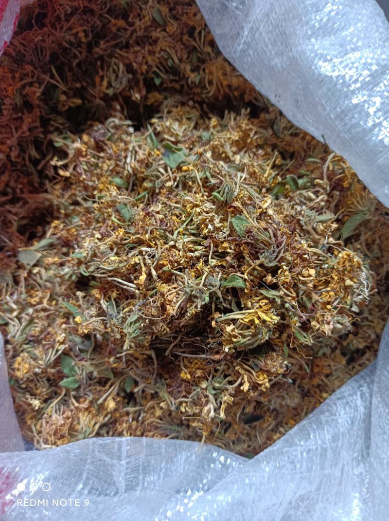 （热销）贵州金银花