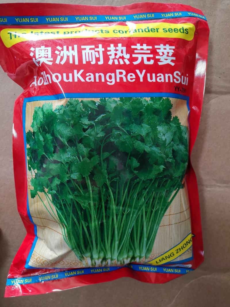 畅销安瑟米澳洲波尔耐热香菜种子耐抽苔耐干旱产量高生长迅速