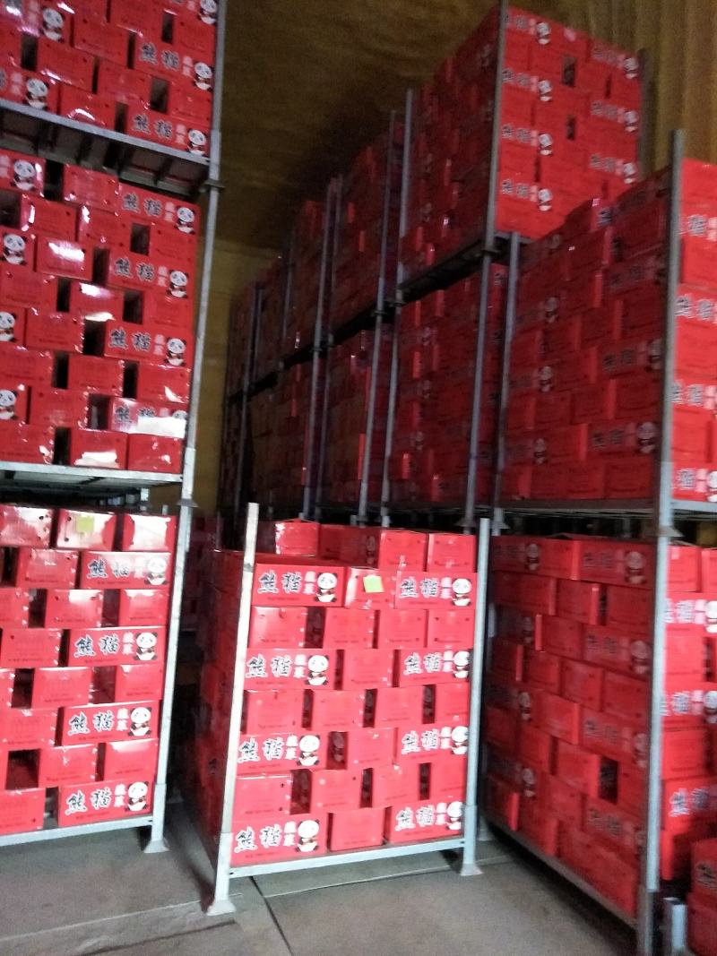 胡萝卜水洗精品中条国内出口