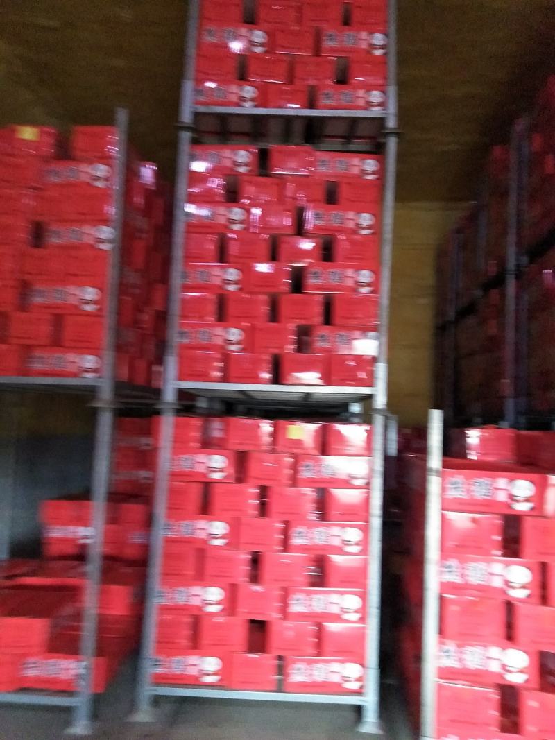 胡萝卜水洗精品中条国内出口