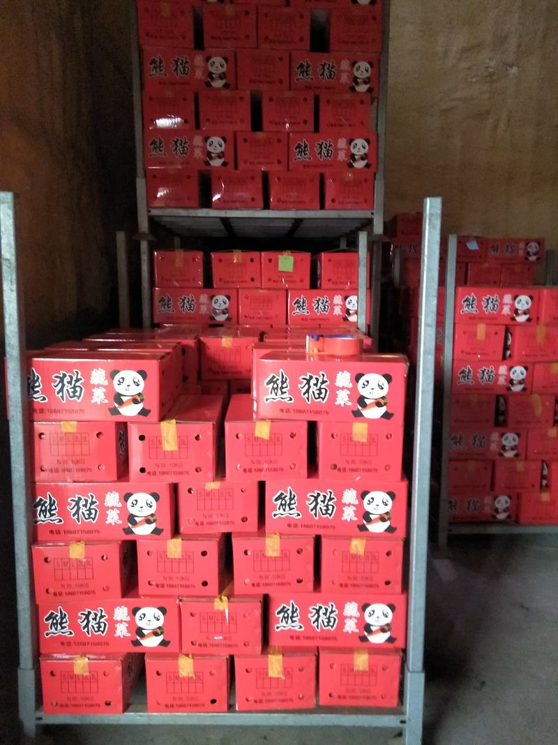 胡萝卜水洗精品中条国内出口