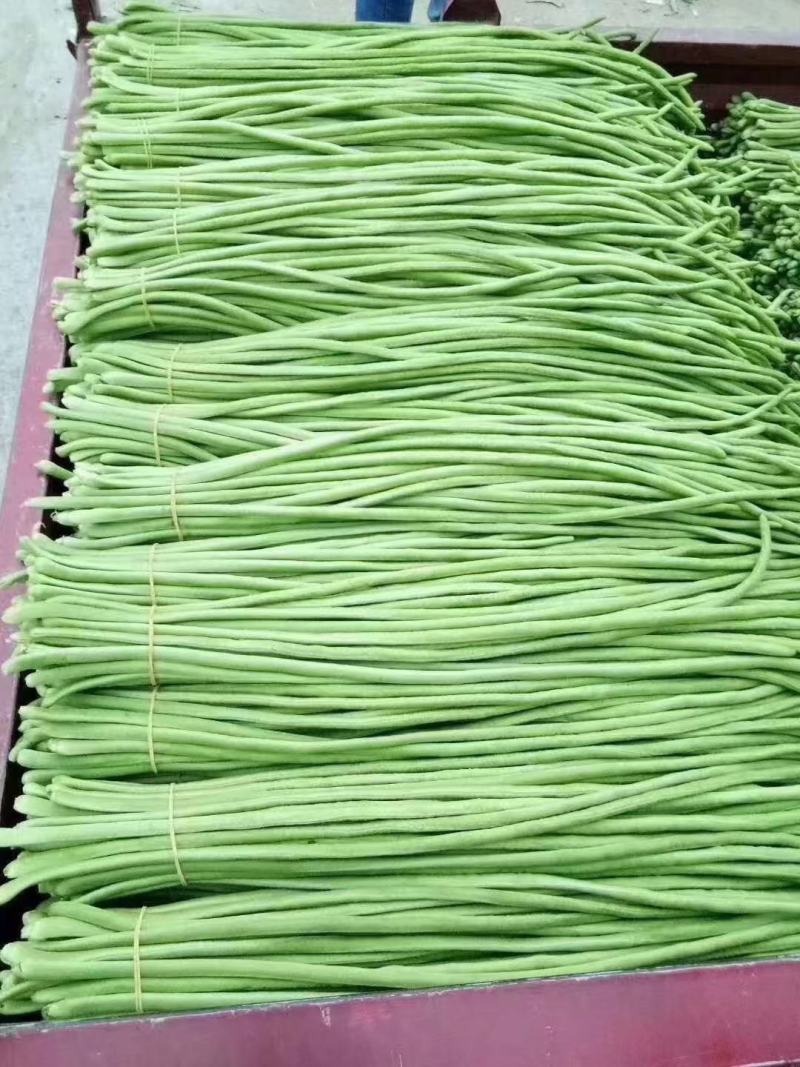 25年新鲜长豆角30万亩基地，产品优质，大量走货