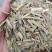 中药材香茅草青绿无硫新货支持平台交易