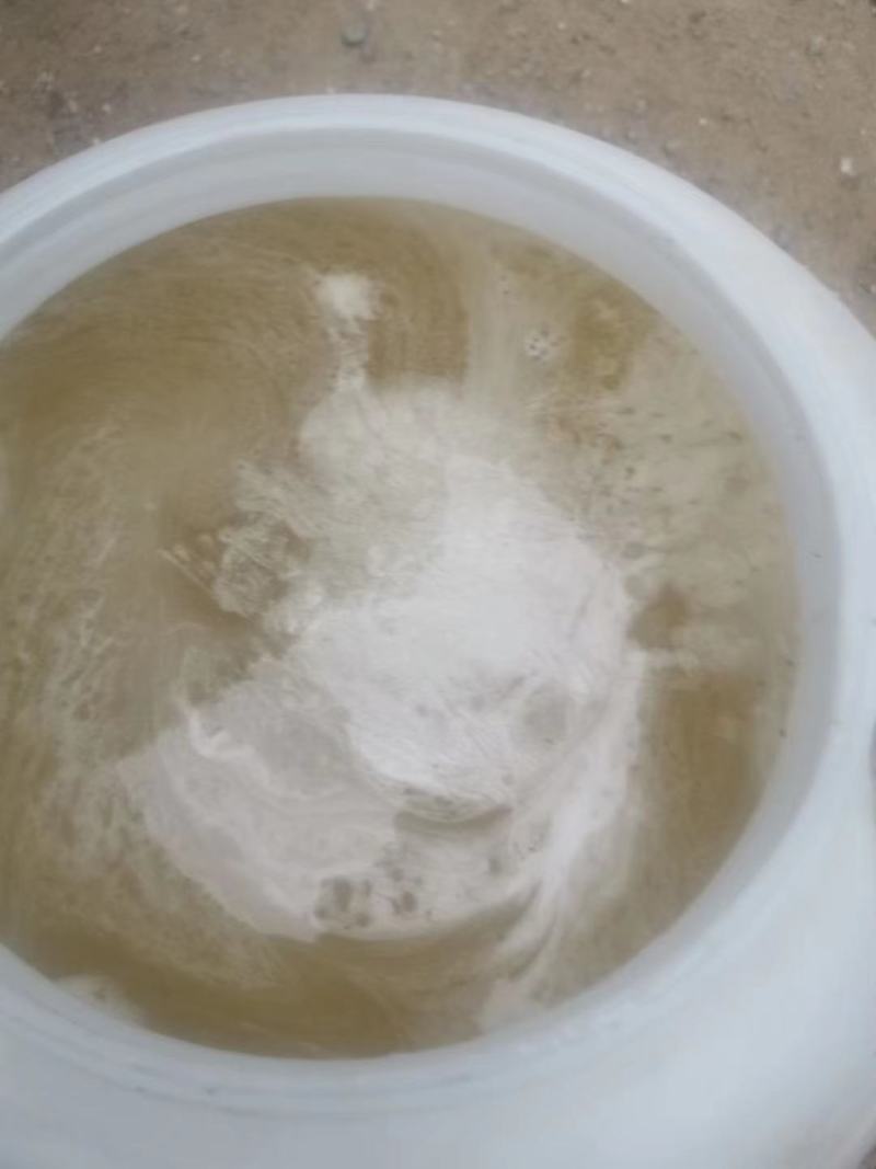 大量批发大桶洋槐蜜原蜜现货水白质量好蜂场直发