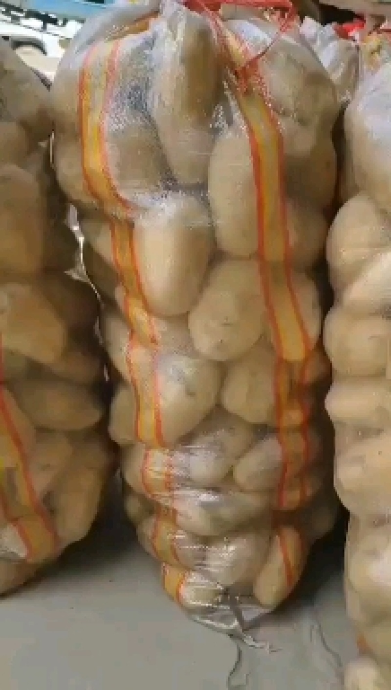 河南土豆滞销中，价格低低低