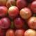 陆地上市油桃，4号，5号，126油桃，毛桃，黄桃