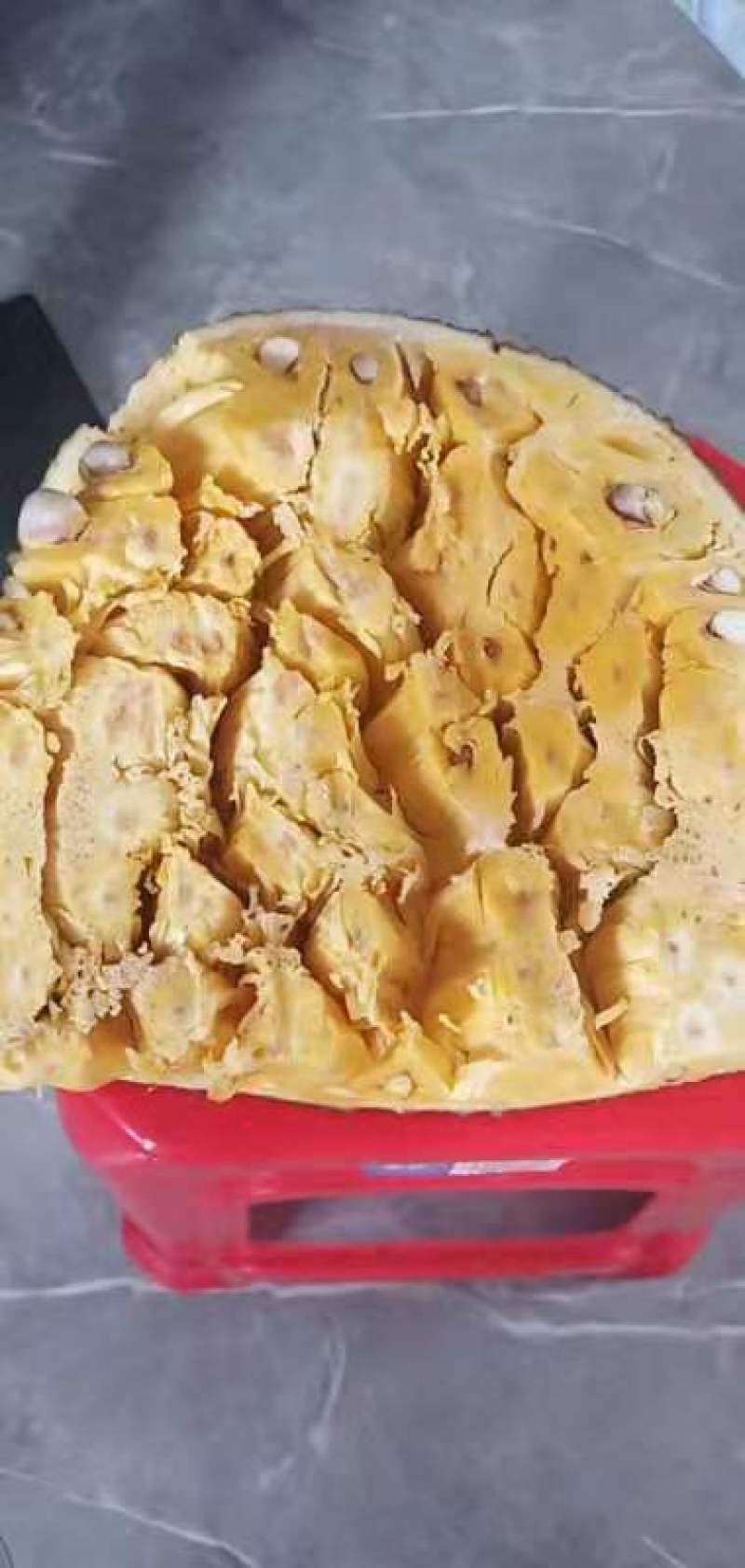菠萝蜜马一泰八香甜可口产地直供价格便宜保质保量