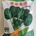 皇家墨绿进口菠菜种籽春秋越冬黑圆叶耐寒菠菜籽10斤