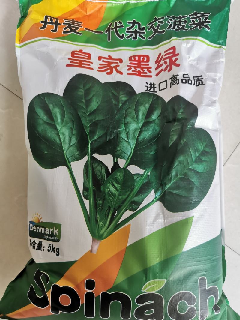 皇家墨绿进口菠菜种籽春秋越冬黑圆叶耐寒菠菜籽10斤