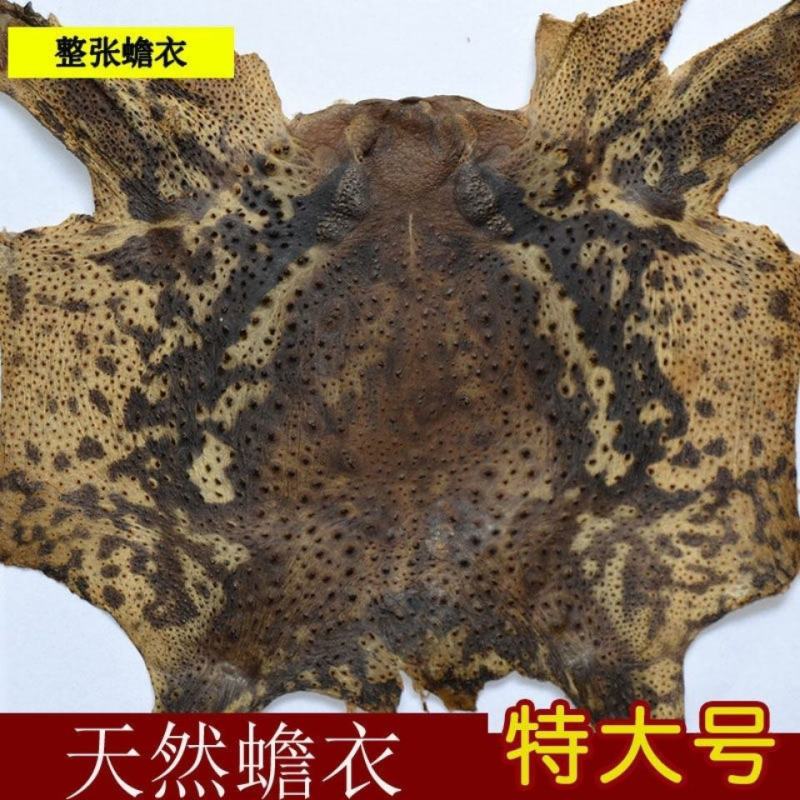 蟾蜍皮10张癞蛤蟆皮蟾衣干蟾皮干蟾蜍粉，货源稳定