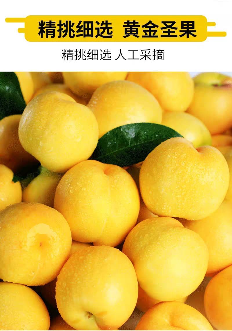 【特选推荐】山东黄金油桃非黄毛桃一件代发新鲜现摘现发