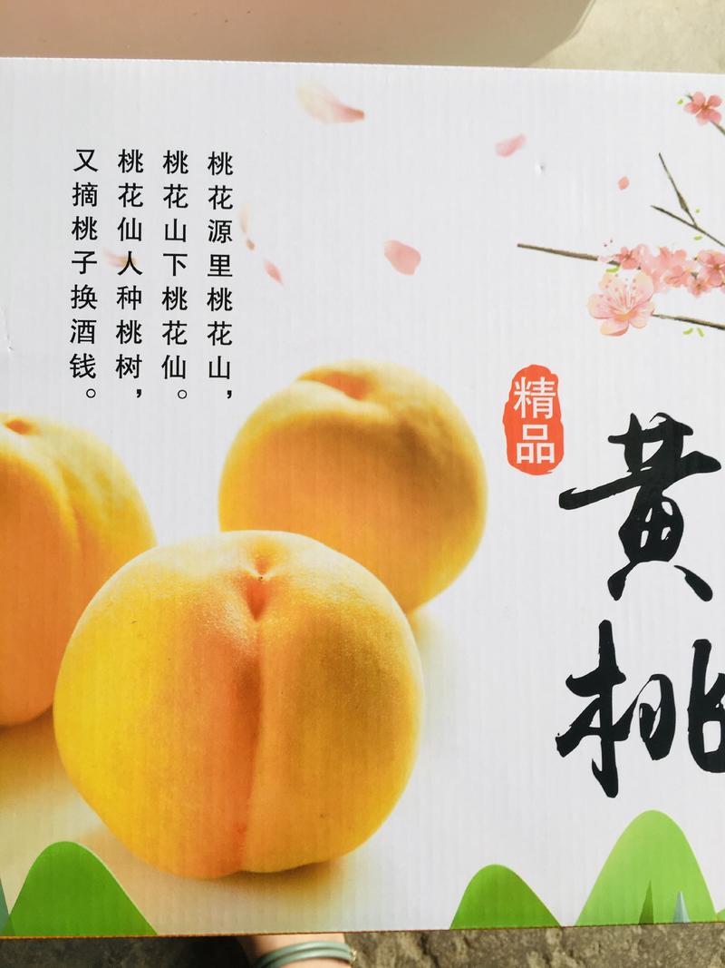 【特选推荐】山东黄金油桃非黄毛桃一件代发新鲜现摘现发