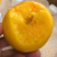 【特选推荐】山东黄金油桃非黄毛桃一件代发新鲜现摘现发