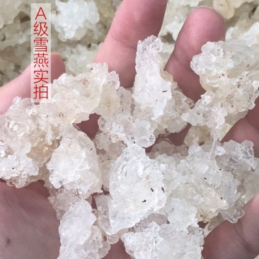 拉丝雪燕产地货源冰糖雪燕不拉丝雪燕植物燕窝